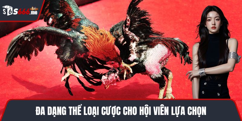 Đa dạng thể loại cược cho hội viên lựa chọn