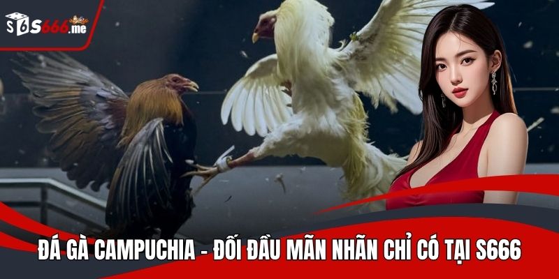 đá gà Campuchia
