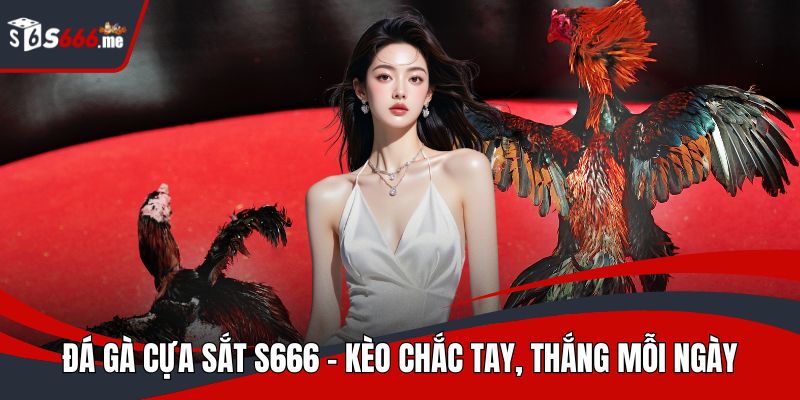 Đá gà cựa sắt