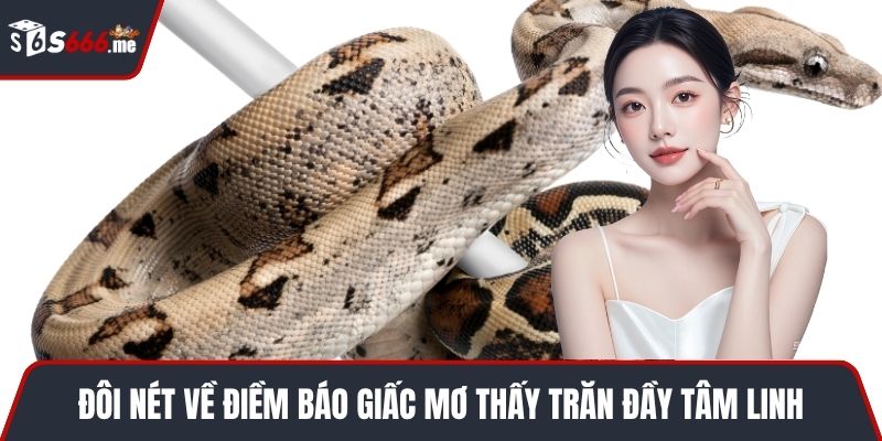 Đôi nét về điềm báo giấc mơ thấy trăn đầy tâm linh