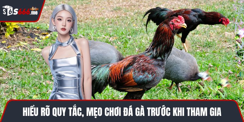Hiểu rõ quy tắc, mẹo chơi đá gà trước khi tham gia