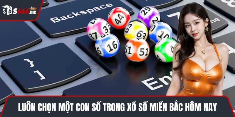 Luôn chọn một con số trong xổ số miền Bắc hôm nay