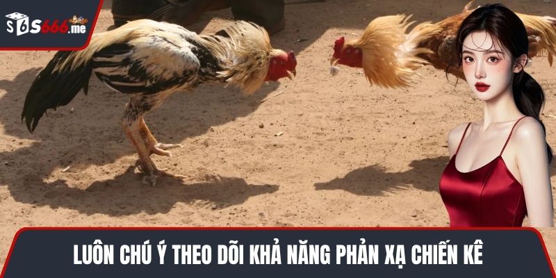 Luôn chú ý theo dõi khả năng phản xạ chiến kê