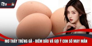 mơ thấy trứng gà