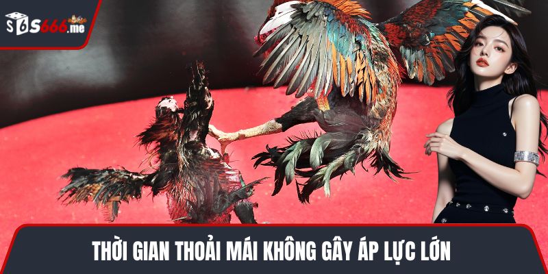 Thời gian thoải mái không gây áp lực lớn 