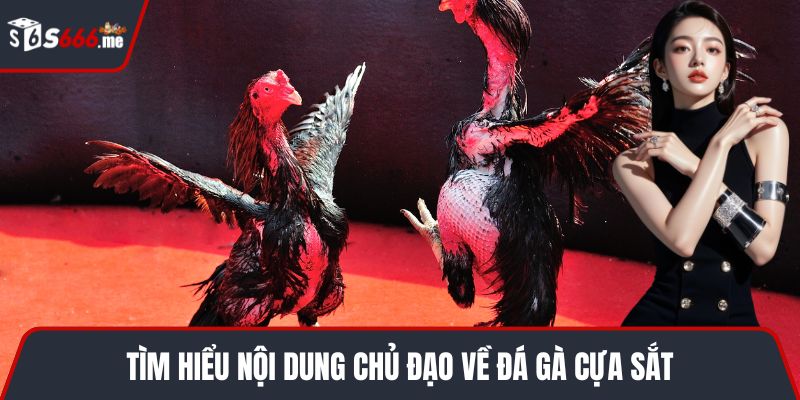 Tìm hiểu nội dung chủ đạo về đá gà cựa sắt
