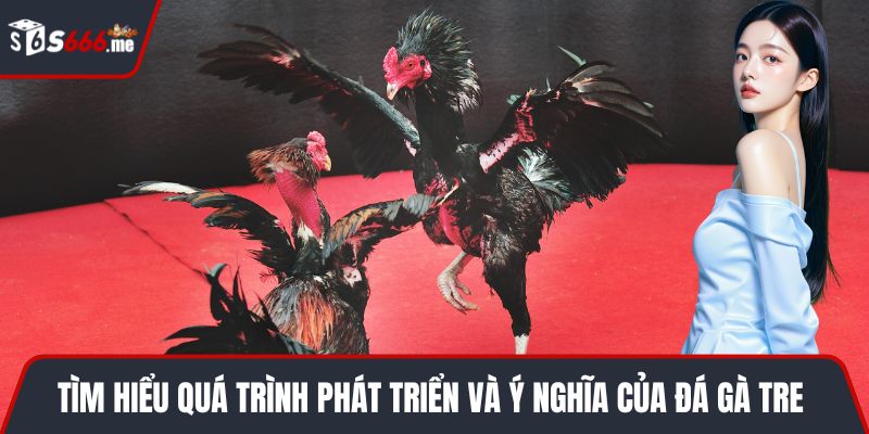 Tìm hiểu quá trình phát triển và ý nghĩa của đá gà tre