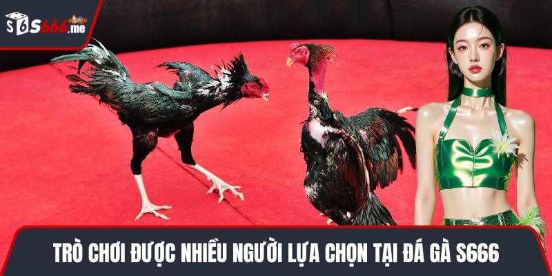 Trò chơi được nhiều người lựa chọn tại đá gà S666